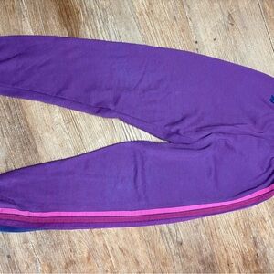Aviator Nation Purple Joggers with Pink Stripe